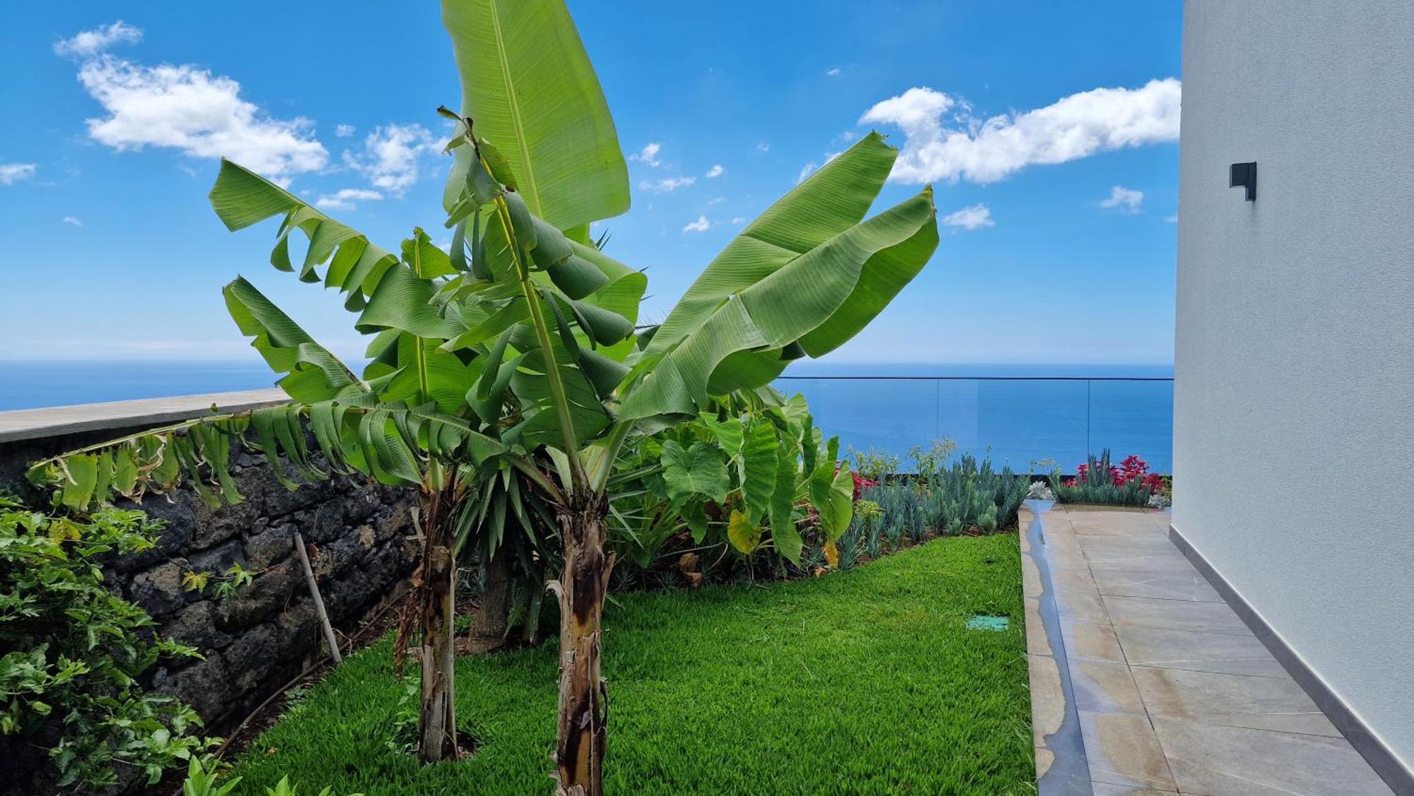 Estrelicia By Lovelystay Villa Ribeira Brava